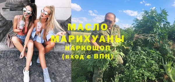 индика Дмитров