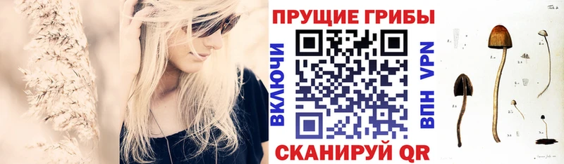 Псилоцибиновые грибы мухоморы  Ессентуки 