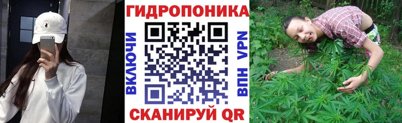 Шишки марихуана сатива  даркнет какой сайт  Ессентуки 